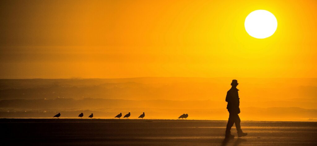 A man walks along a beach at sunset with birds nearby in a serene landscape.